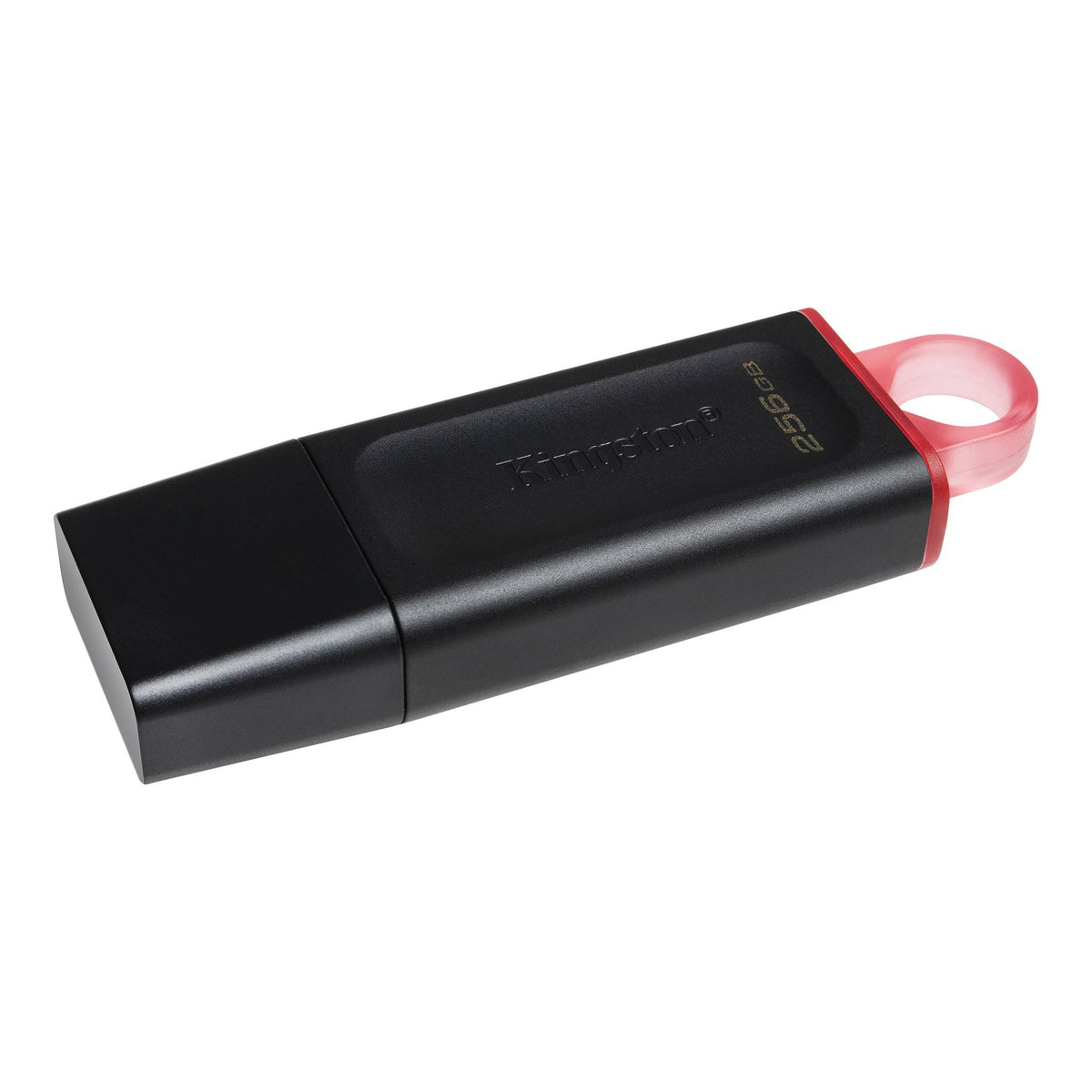 Kingston 256GB DataTraveler® Exodia USB Flash Drive