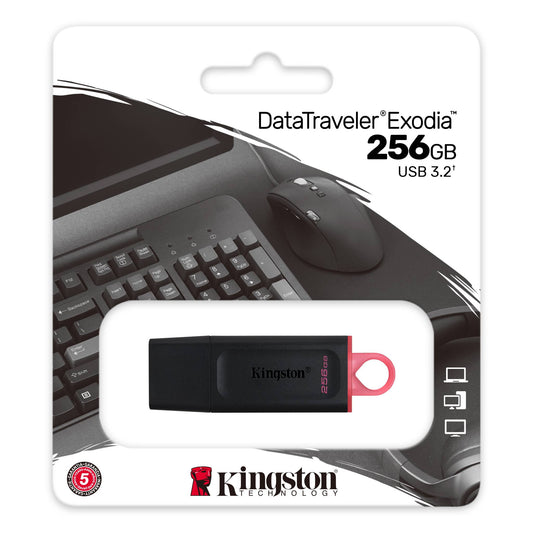 Kingston 256GB DataTraveler® Exodia USB Flash Drive