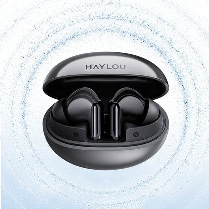 Haylou Flowbuds N55 ANC Earbuds – Black