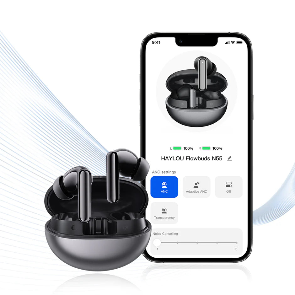 Haylou Flowbuds N55 ANC Earbuds – Black